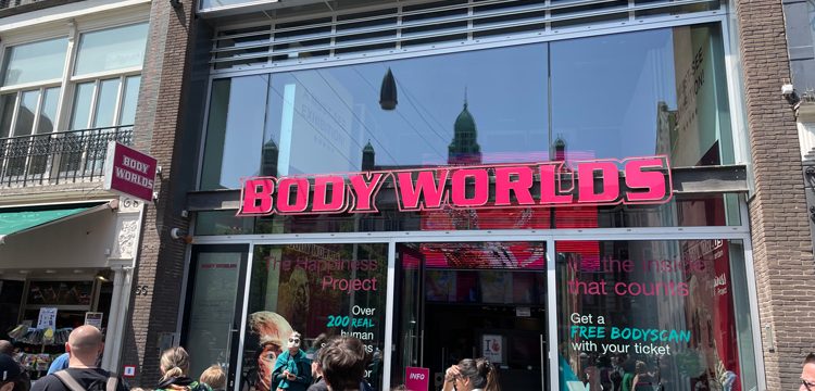 Het anatomie museum: Body Worlds Amsterdam