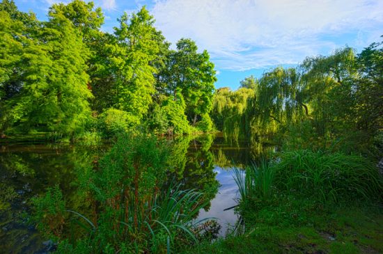 het vondelpark in amsterdam