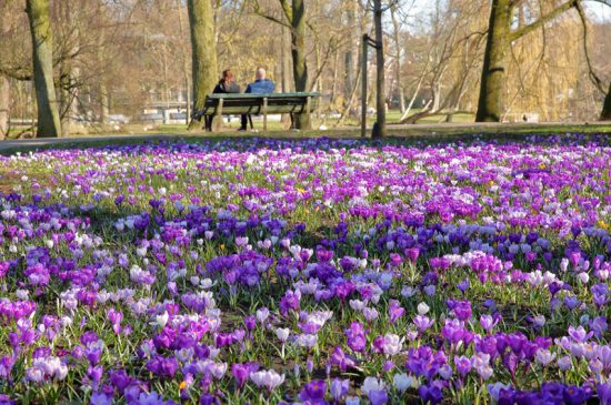 oosterpark