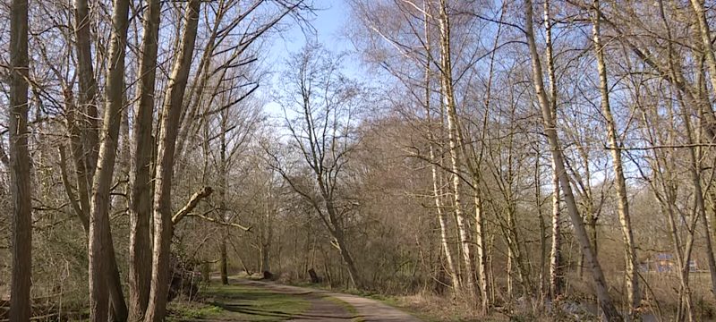 Het verrassende park Flevopark in Amsterdam